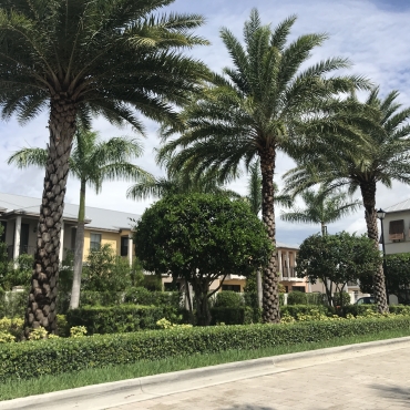 Doral Cay Landscaping
