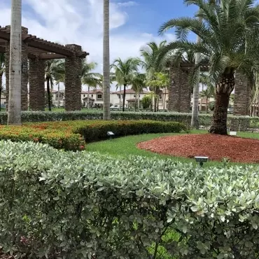 Grand Bay Estates Landscaping