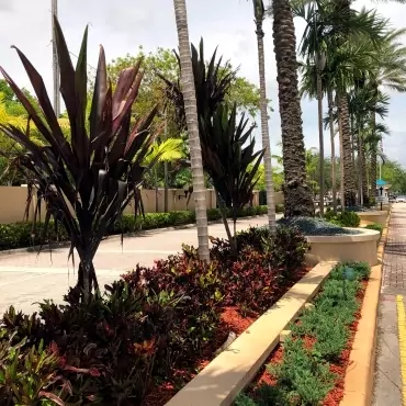 Miami Jewish Health System Landscaping
