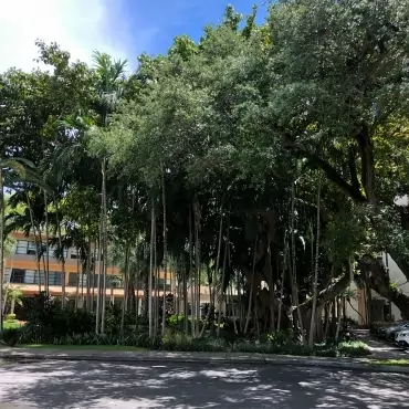 Miami Jewish Health System Landscaping