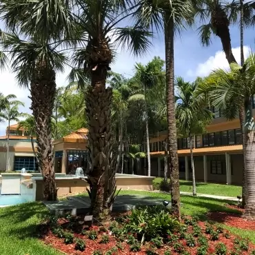 Miami Jewish Health System Landscaping