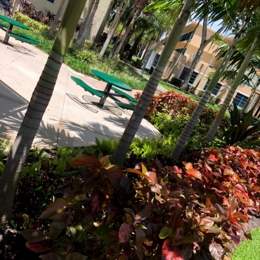 Miami Jewish Health System Landscaping