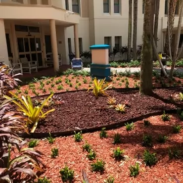 Miami Jewish Health System Landscaping