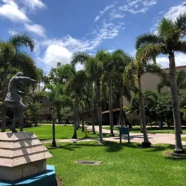 Miami Jewish Health System Landscaping