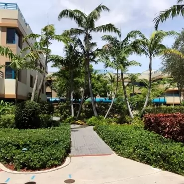 Miami Jewish Health System Landscaping