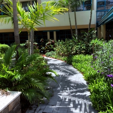 Miami Jewish Health System Landscaping